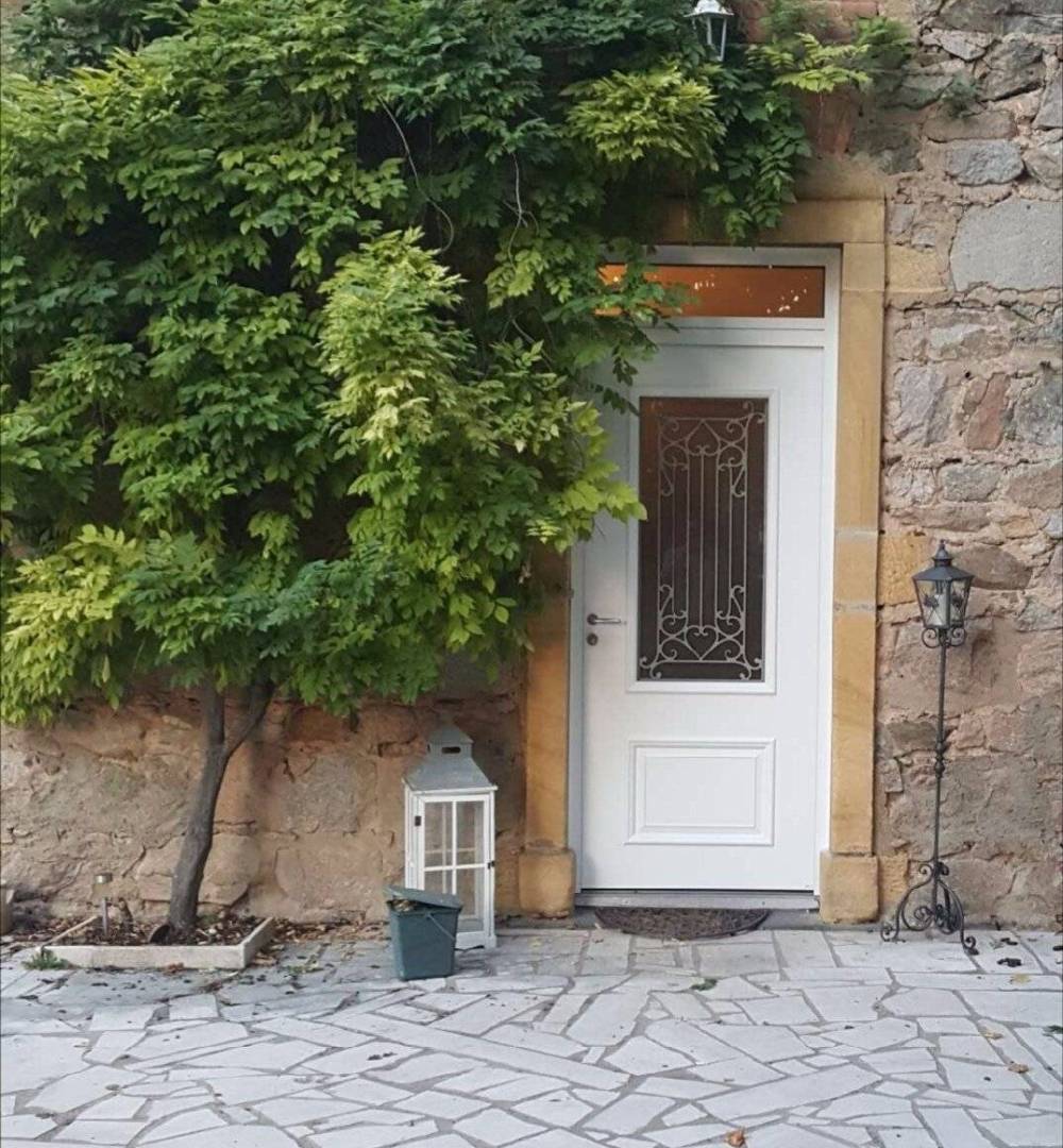 porte avec arbuste