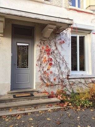 porte moderne avec plante